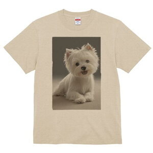 EGXgnChzCgeA TVc  j[NfUCfB[X t@  t vg lJWA 킢 lԗp Mtg I ҏ΍ EGXgnChz