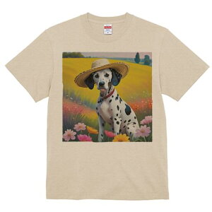 _VA TVc  j[NfUCfB[X t@  t vg lJWA 킢 lԗp Mtg I ҏ΍ Xq _VA  