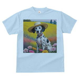 _VA TVc  j[NfUCfB[X t@  t vg lJWA 킢 lԗp Mtg I ҏ΍ Xq _VA  