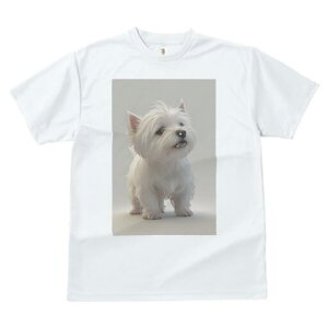 EGXgnChzCgeA TVc  j[NfUCfB[X t@  t vg lJWA 킢 lԗp Mtg I ҏ΍ EGXgnChz