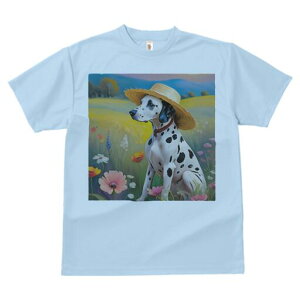 _VA TVc  j[NfUCfB[X t@  t vg lJWA 킢 lԗp Mtg I ҏ΍ Xq _VA 