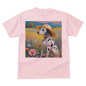 _VA TVc  j[NfUCfB[X t@  t vg lJWA 킢 lԗp Mtg I ҏ΍ Xq _VA 