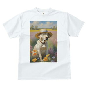 uh[go[ TVc  j[NfUCfB[X t@  t vg lJWA 킢 lԗp Mtg I ҏ΍ Xq uh[go[  