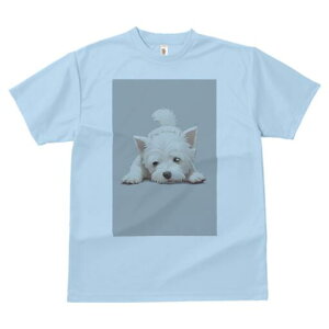 EGXgnChzCgeA TVc  j[NfUCfB[X t@  t vg lJWA 킢 lԗp Mtg I ҏ΍ EGXgnChz