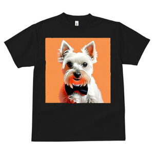 EGXgnChzCgeA TVc  j[NfUCfB[X t@  t vg lJWA 킢 lԗp Mtg I ҏ΍ lN^C EGXgn