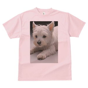 EGXgnChzCgeA TVc  j[NfUCfB[X t@  t vg lJWA 킢 lԗp Mtg I ҏ΍ EGXgnChz