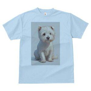 EGXgnChzCgeA TVc  j[NfUCfB[X t@  t vg lJWA 킢 lԗp Mtg I ҏ΍  EGXgnCh