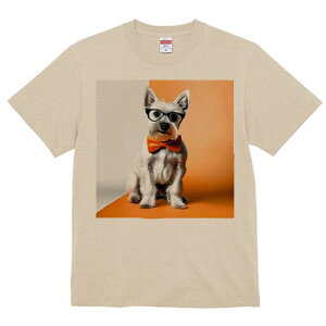 EGXgnChzCgeA TVc  j[NfUCY LbY t@  t vg lJWA 킢 lԗp Mtg I ҏ΍ lN^C EGX