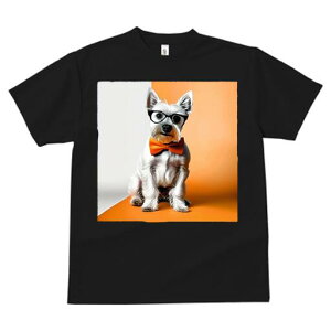 EGXgnChzCgeA TVc  j[NfUCfB[X t@  t vg lJWA 킢 lԗp Mtg I ҏ΍ lN^C EGXgn