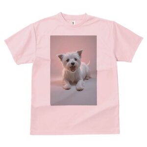 EGXgnChzCgeA TVc  j[NfUCfB[X t@  t vg lJWA 킢 lԗp Mtg I ҏ΍ EGXgnChz