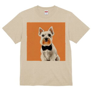 ~j`AViEU[ TVc  j[NfUCfB[X t@  t vg lJWA 킢 lԗp Mtg I ҏ΍ lN^C ~j`AViEU