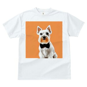 ~j`AViEU[ TVc  j[NfUCfB[X t@  t vg lJWA 킢 lԗp Mtg I ҏ΍ lN^C ~j`AViEU