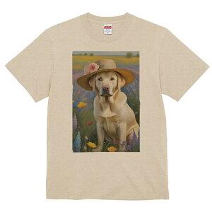 uh[go[ TVc  j[NfUCfB[X t@  t vg lJWA 킢 lԗp Mtg I ҏ΍ Xq uh[go[  