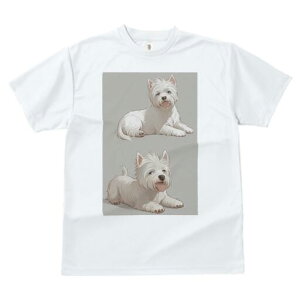 EGXgnChzCgeA TVc  j[NfUCfB[X t@  t vg lJWA 킢 lԗp Mtg I ҏ΍ EGXgnChz