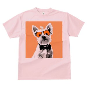 EGXgnChzCgeA TVc  j[NfUCY LbY t@  t vg lJWA 킢 lԗp Mtg I ҏ΍ TOX EGX