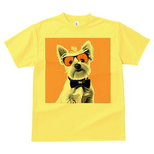 EGXgnChzCgeA TVc  j[NfUCfB[X t@  t vg lJWA 킢 lԗp Mtg I ҏ΍ TOX EGXgn