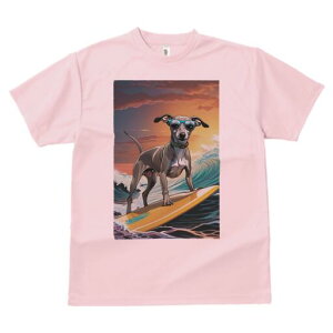 C^AO[nEh TVc  j[NfUCfB[X t@  t vg lJWA 킢 lԗp Mtg I ҏ΍ T[tB C^AO[n