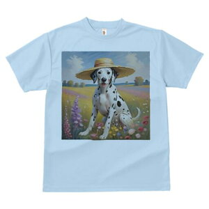 _VA TVc  j[NfUCfB[X t@  t vg lJWA 킢 lԗp Mtg I ҏ΍ Xq _VA Ԕ