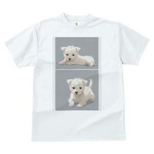 EGXgnChzCgeA TVc  j[NfUCfB[X t@  t vg lJWA 킢 lԗp Mtg I ҏ΍ EGXgnChz