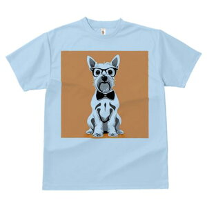 EGXgnChzCgeA TVc  j[NfUCY LbY t@  t vg lJWA 킢 lԗp Mtg I ҏ΍ Kl EGXgn