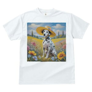 _VA TVc  j[NfUCfB[X t@  t vg lJWA 킢 lԗp Mtg I ҏ΍ Xq _VA  i