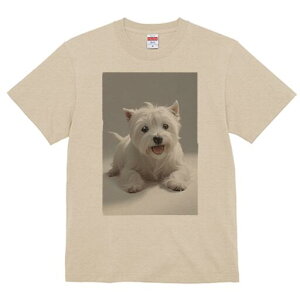 EGXgnChzCgeA TVc  j[NfUCfB[X t@  t vg lJWA 킢 lԗp Mtg I ҏ΍ EGXgnChz