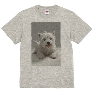 EGXgnChzCgeA TVc  j[NfUCfB[X t@  t vg lJWA 킢 lԗp Mtg I ҏ΍ EGXgnChz