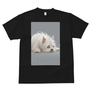 EGXgnChzCgeA TVc  j[NfUCfB[X t@  t vg lJWA 킢 lԗp Mtg I ҏ΍ EGXgnChz