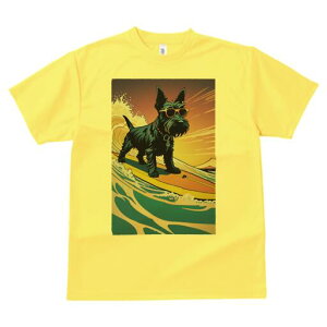 XReBbVeA TVc  j[NfUCfB[X t@  t vg lJWA 킢 lԗp Mtg I ҏ΍ T[tB XReBbVeA 