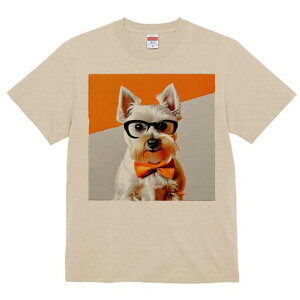 EGXgnChzCgeA TVc  j[NfUCfB[X t@  t vg lJWA 킢 lԗp Mtg I ҏ΍ Kl EGXgnC