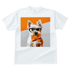 EGXgnChzCgeA TVc  j[NfUCfB[X t@  t vg lJWA 킢 lԗp Mtg I ҏ΍ Kl EGXgnC