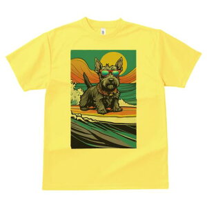 XReBbVeA TVc  j[NfUCfB[X t@  t vg lJWA 킢 lԗp Mtg I ҏ΍ T[tB XReBbVeA 