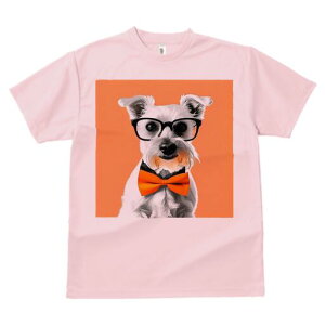 ~j`AViEU[ TVc  j[NfUCY LbY t@  t vg lJWA 킢 lԗp Mtg I ҏ΍ Kl ~j`AViEU