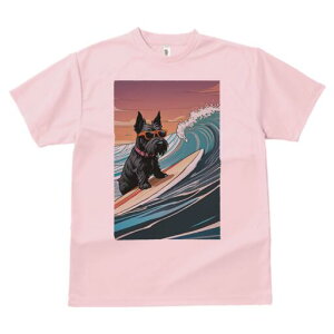 XReBbVeA TVc  j[NfUCfB[X t@  t vg lJWA 킢 lԗp Mtg I ҏ΍ T[tB XReBbVeA 