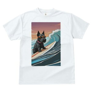 XReBbVeA TVc  j[NfUCfB[X t@  t vg lJWA 킢 lԗp Mtg I ҏ΍ T[tB XReBbVeA 