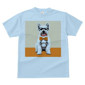 EGXgnChzCgeA TVc  j[NfUCfB[X t@  t vg lJWA 킢 lԗp Mtg I ҏ΍ Kl EGXgnC