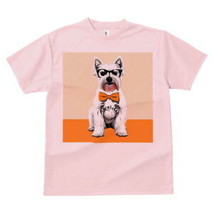 EGXgnChzCgeA TVc  j[NfUCY LbY t@  t vg lJWA 킢 lԗp Mtg I ҏ΍ Kl EGXgn