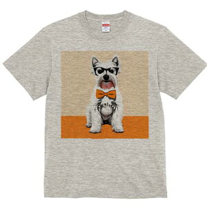 EGXgnChzCgeA TVc  j[NfUCY LbY t@  t vg lJWA 킢 lԗp Mtg I ҏ΍ Kl EGXgn