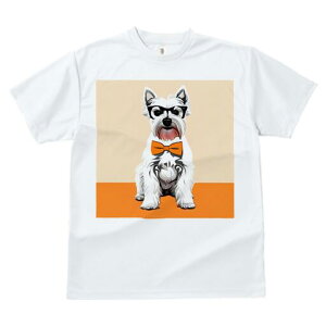 EGXgnChzCgeA TVc  j[NfUCfB[X t@  t vg lJWA 킢 lԗp Mtg I ҏ΍ Kl EGXgnC