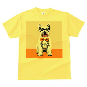 EGXgnChzCgeA TVc  j[NfUCfB[X t@  t vg lJWA 킢 lԗp Mtg I ҏ΍ Kl EGXgnC