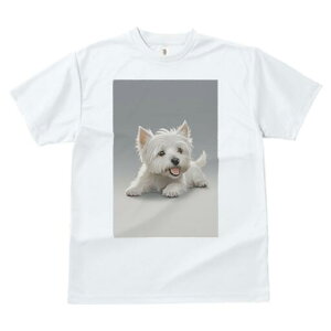 EGXgnChzCgeA TVc  j[NfUCfB[X t@  t vg lJWA 킢 lԗp Mtg I ҏ΍ EGXgnChz