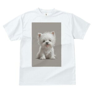 EGXgnChzCgeA TVc  j[NfUCfB[X t@  t vg lJWA 킢 lԗp Mtg I ҏ΍ EGXgnChz