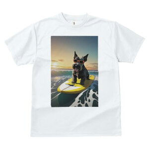 XReBbVeA TVc  j[NfUCY LbY t@  t vg lJWA 킢 lԗp Mtg I ҏ΍ T[tB XReBbVe