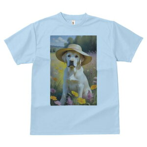 uh[go[ TVc  j[NfUCfB[X t@  t vg lJWA 킢 lԗp Mtg I ҏ΍ Xq uh[go[  