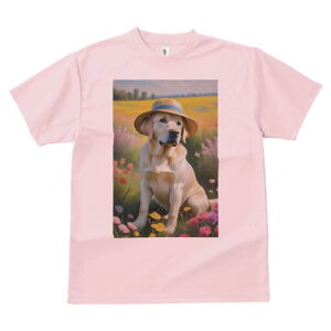 uh[go[ TVc  j[NfUCfB[X t@  t vg lJWA 킢 lԗp Mtg I ҏ΍ Xq uh[go[  