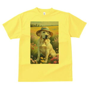 uh[go[ TVc  j[NfUCfB[X t@  t vg lJWA 킢 lԗp Mtg I ҏ΍ Xq uh[go[  