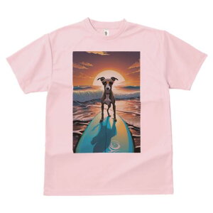 C^AO[nEh TVc  j[NfUCfB[X t@  t vg lJWA 킢 lԗp Mtg I ҏ΍ T[tB C^AO[n