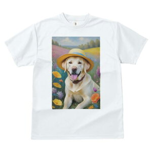 uh[go[ TVc  j[NfUCfB[X t@  t vg lJWA 킢 lԗp Mtg I ҏ΍ Xq uh[go[  