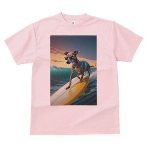 C^AO[nEh TVc  j[NfUCY LbY t@  t vg lJWA 킢 lԗp Mtg I ҏ΍ T[tB C^AO