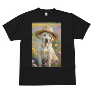 uh[go[ TVc  j[NfUCfB[X t@  t vg lJWA 킢 lԗp Mtg I ҏ΍ Xq uh[go[ 